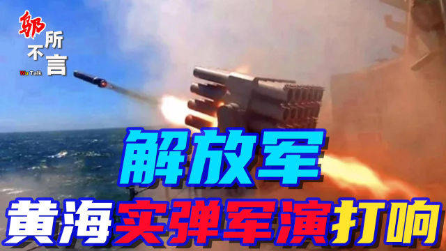 巴西實(shí)彈軍演最新動(dòng)態(tài)消息，展現(xiàn)國防實(shí)力與國際合作，巴西國防實(shí)力展現(xiàn)與國際合作，最新實(shí)彈軍演動(dòng)態(tài)觀察