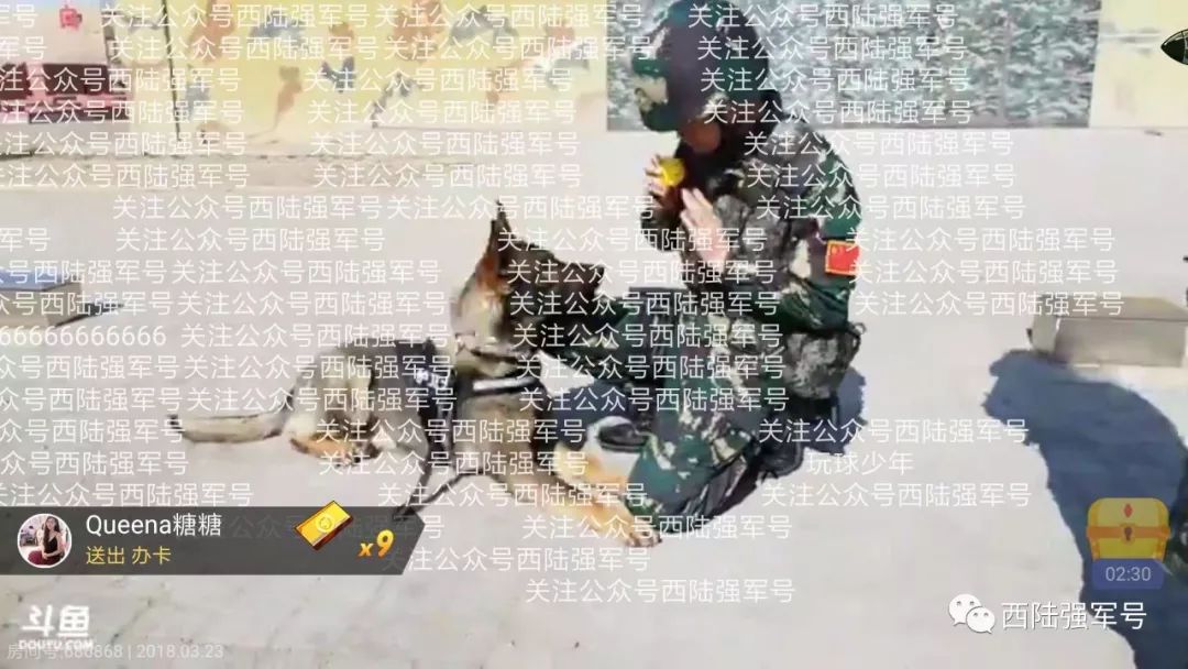 中國網(wǎng)絡(luò)部隊的規(guī)模與職能，中國網(wǎng)絡(luò)部隊的規(guī)模與職能概述