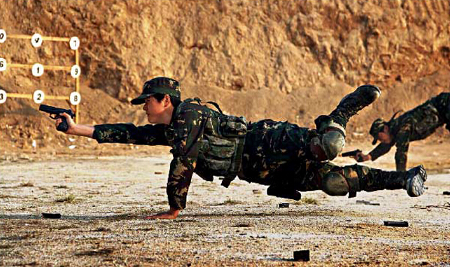 軍中玫瑰，31集團軍女子特戰(zhàn)連的榮耀與挑戰(zhàn)，軍中玫瑰，女子特戰(zhàn)連的榮耀與挑戰(zhàn)——31集團軍的獨特篇章