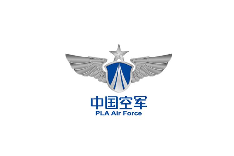 空軍飛行標(biāo)志圖片，象征力量與榮耀的徽章，空軍飛行標(biāo)志徽章，力量與榮耀的象征圖片展示