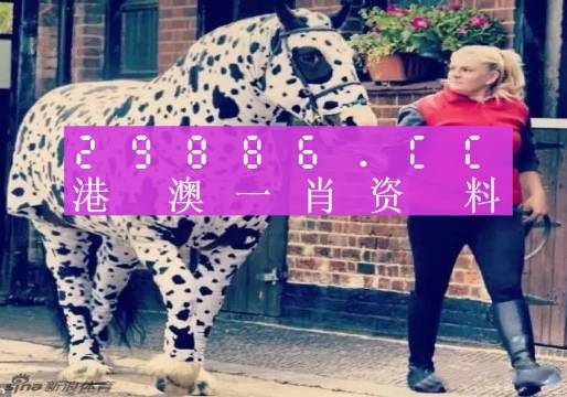 王中王一肖一馬中特論壇，探索與洞察的獨特視角，王中王一肖一馬中特論壇，獨特視角探索與洞察