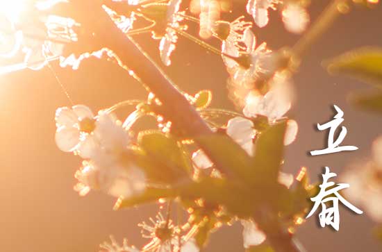 迎接春天的腳步，2025年立春的準確時刻，2025年立春準確時刻，春天的腳步悄然而至