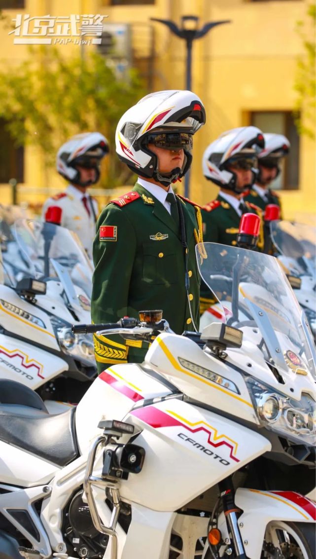 國賓護衛(wèi)隊 第2頁