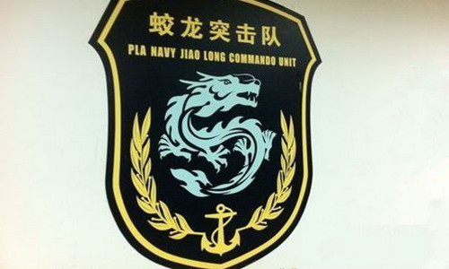 蛟龍突擊隊編制是連嗎？——解析特種部隊編制與使命，特種部隊編制揭秘，蛟龍突擊隊是連級單位嗎？解析其使命與編制