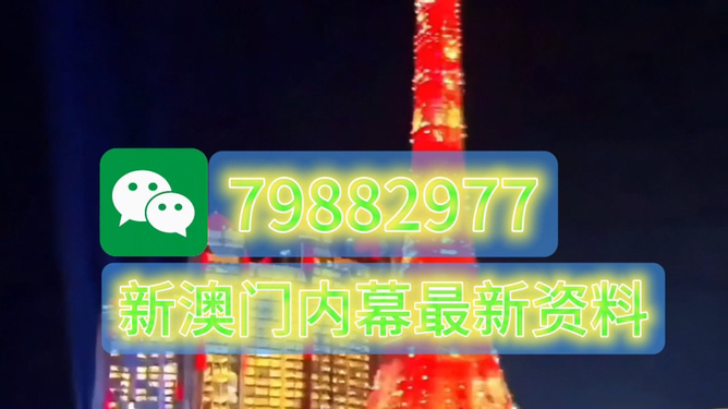澳門今晚必開一肖一特，探索背后的文化魅力與預(yù)測(cè)邏輯，澳門今晚生肖預(yù)測(cè)背后的文化魅力與預(yù)測(cè)邏輯探索