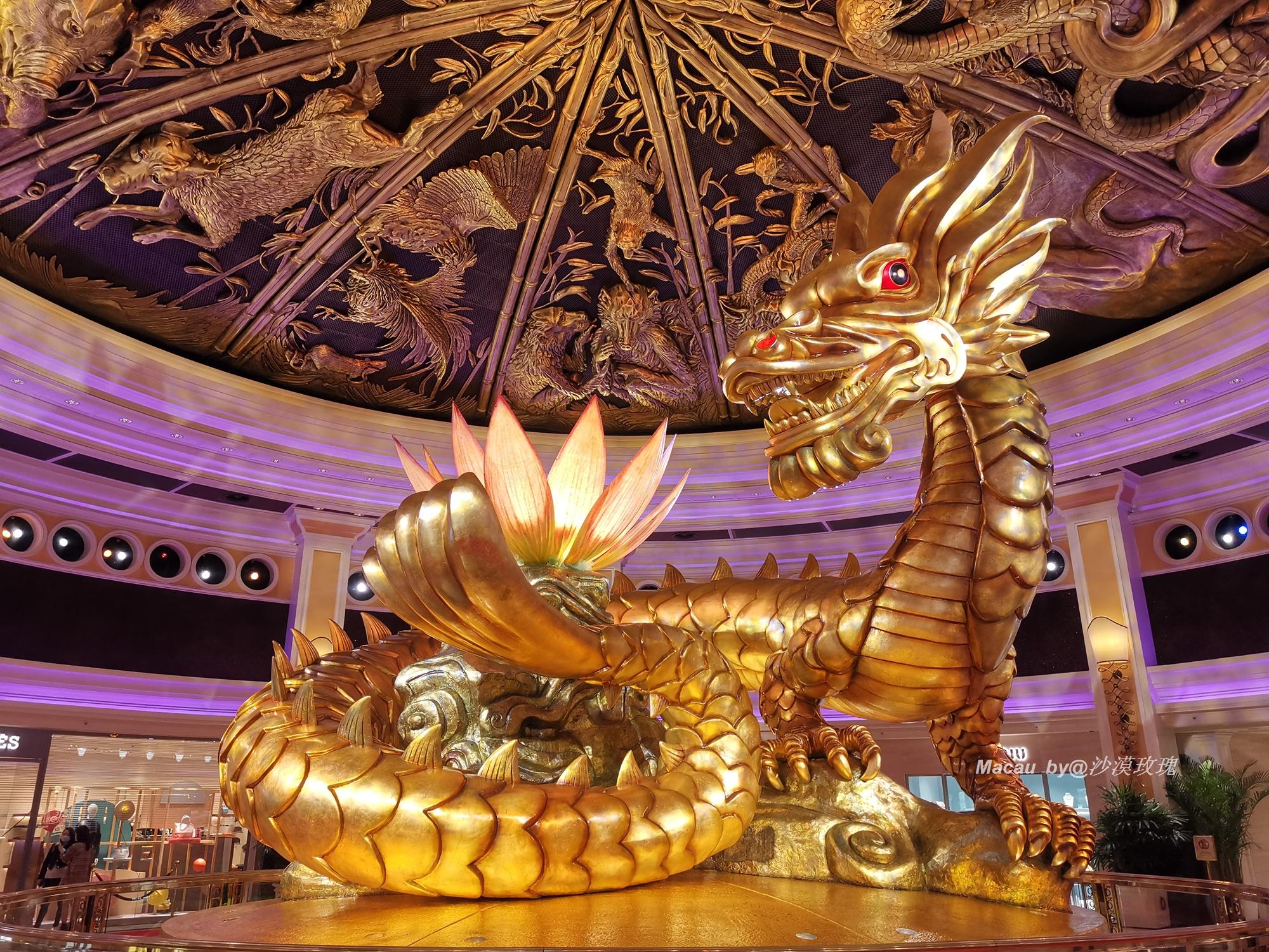 新澳門(mén)最精準(zhǔn)免費(fèi)大全——探索澳門(mén)最新動(dòng)態(tài)與資訊，澳門(mén)最新動(dòng)態(tài)與資訊大全，新澳門(mén)最精準(zhǔn)免費(fèi)指南