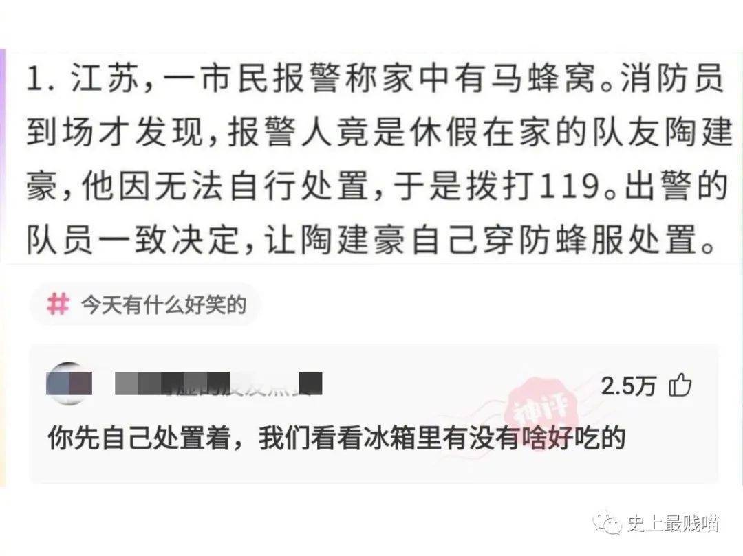 2021最新新聞及點(diǎn)評(píng)摘抄概覽，2021最新新聞及點(diǎn)評(píng)概覽