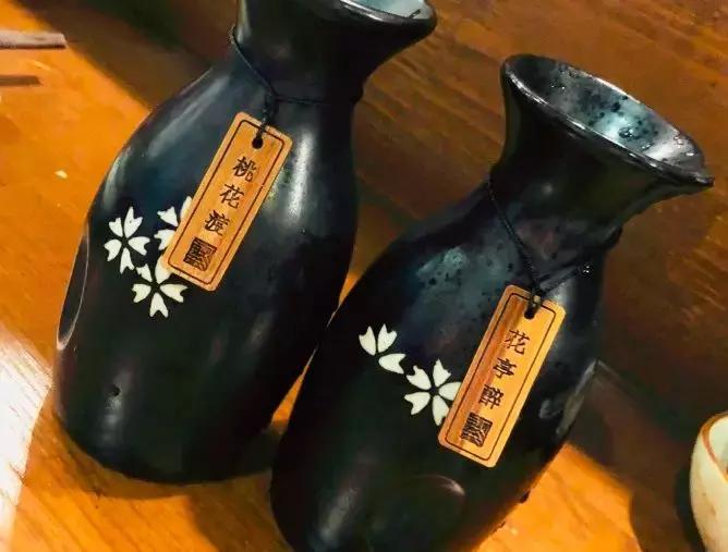 直8C與直18，兩款直升機的差異與特點，直8C與直18直升機，差異與特點解析