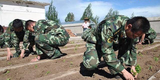 軍事農(nóng)業(yè)頻道是否已被刪除？探究背后的原因與影響，軍事農(nóng)業(yè)頻道背后的消失原因及其影響探究