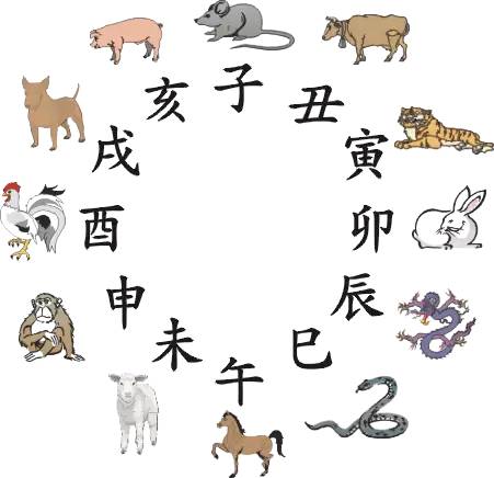 王中王016指一生肖——探尋背后的神秘與魅力，王中王016生肖背后的神秘魅力探尋