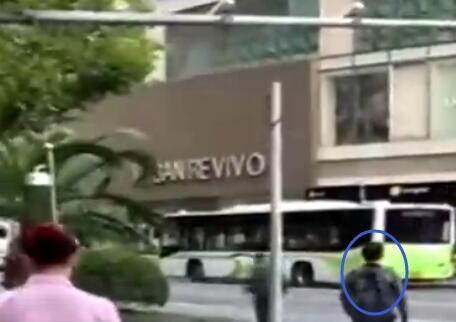 王中王一碼兩肖，探尋背后的奧秘與智慧，探尋王中王一碼兩肖背后的奧秘與智慧