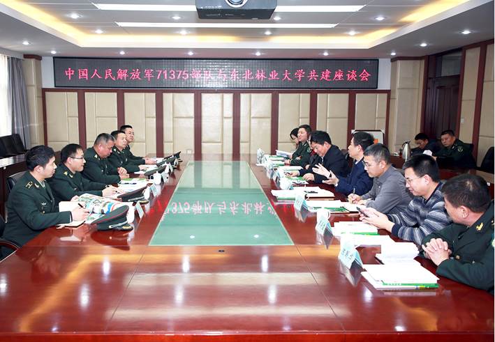 中國人民解放軍61367部隊(duì)，光榮與使命的象征，中國人民解放軍61367部隊(duì)，光榮使命的象征