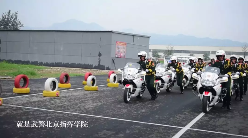 國賓護衛(wèi)隊護衛(wèi)標準，卓越中的卓越，國賓護衛(wèi)隊卓越標準，護衛(wèi)中的精英