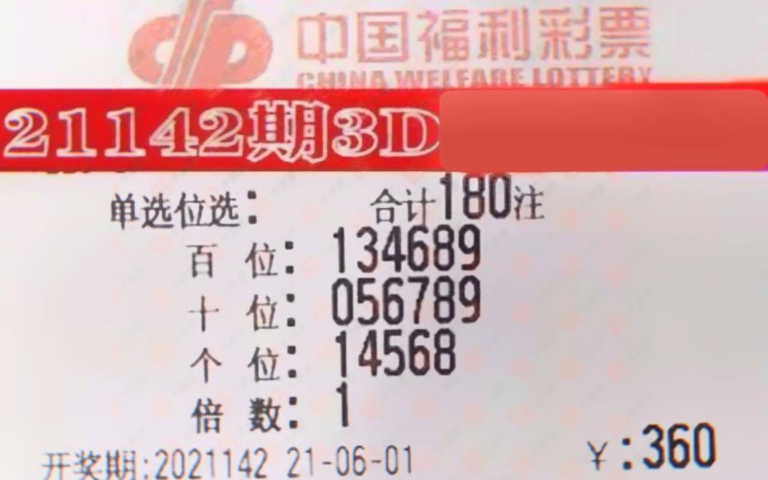 解析報告