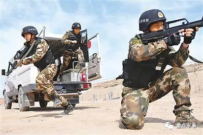 武警部隊(duì)兵力，規(guī)模、結(jié)構(gòu)與發(fā)展趨勢(shì)，武警部隊(duì)兵力，規(guī)模、結(jié)構(gòu)與發(fā)展趨勢(shì)概覽