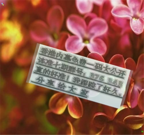 王中王六肖必中一期，揭秘精準(zhǔn)預(yù)測(cè)的魅力，揭秘王中王六肖精準(zhǔn)預(yù)測(cè)的魅力，一期必中傳奇！