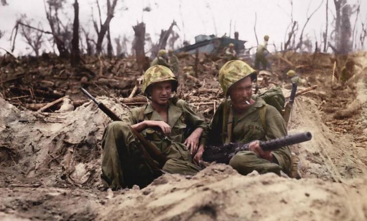 美軍每年死亡人數(shù)概況，美軍年度死亡人數(shù)概覽