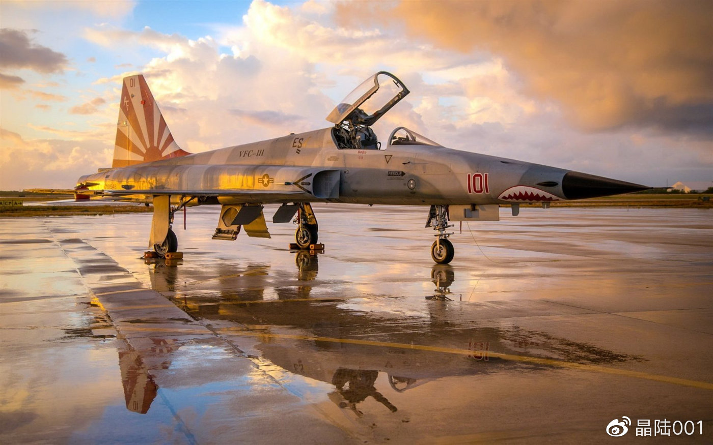 美國虎式戰(zhàn)斗機，空中霸主的傳奇故事，美國虎式戰(zhàn)斗機，空中霸主的傳奇之旅