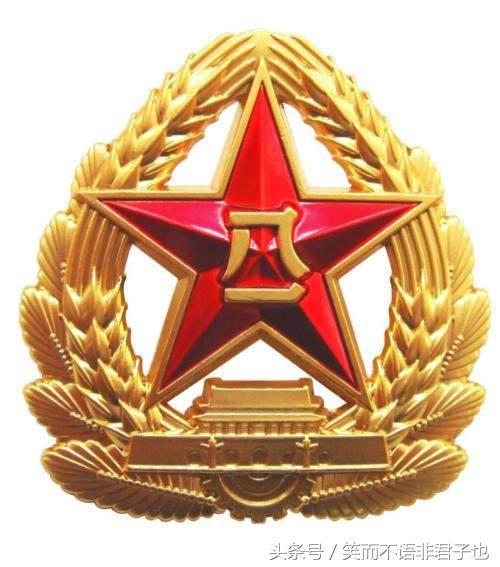 武警部隊(duì)帽徽換與不換，歷史、現(xiàn)實(shí)與未來(lái)的考量，武警部隊(duì)帽徽換與不換背后的歷史、現(xiàn)實(shí)和未來(lái)考量