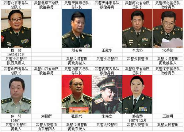 中國現(xiàn)役將軍數(shù)量概況，聚焦2020年的數(shù)據(jù)解析，中國現(xiàn)役將軍概況深度解析，聚焦2020年數(shù)據(jù)報告