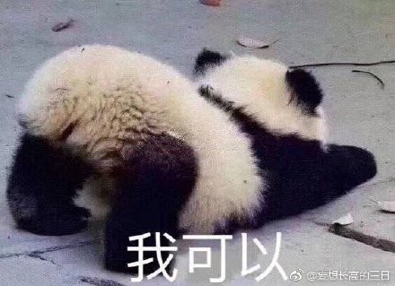 澳門最準(zhǔn)四不像，神秘與魅力的獨(dú)特融合，澳門神秘四不像，獨(dú)特魅力的融合之旅