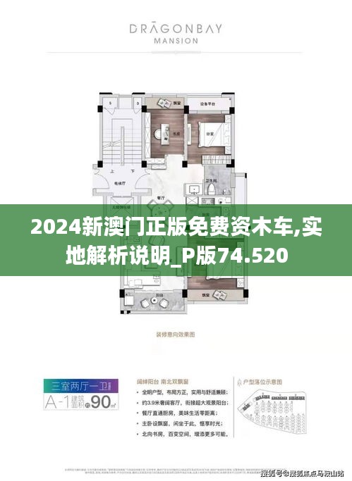探索澳門未來，2025新澳門正版免費資訊車的發(fā)展與影響，澳門未來展望，2025年正版免費資訊車的發(fā)展與影響探索