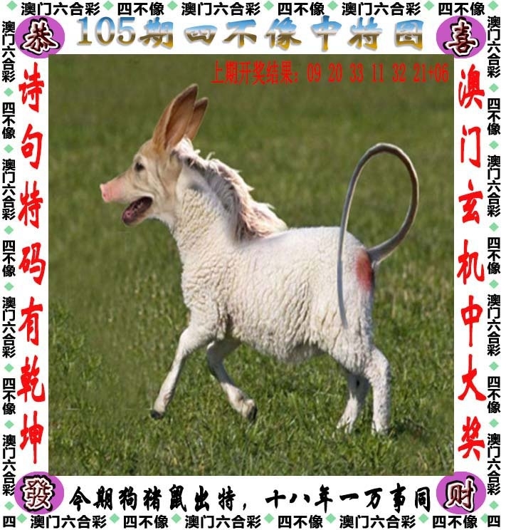 澳門精準四不像