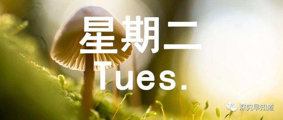 國際時事新聞簡報格式，全球國際時事新聞簡報概覽