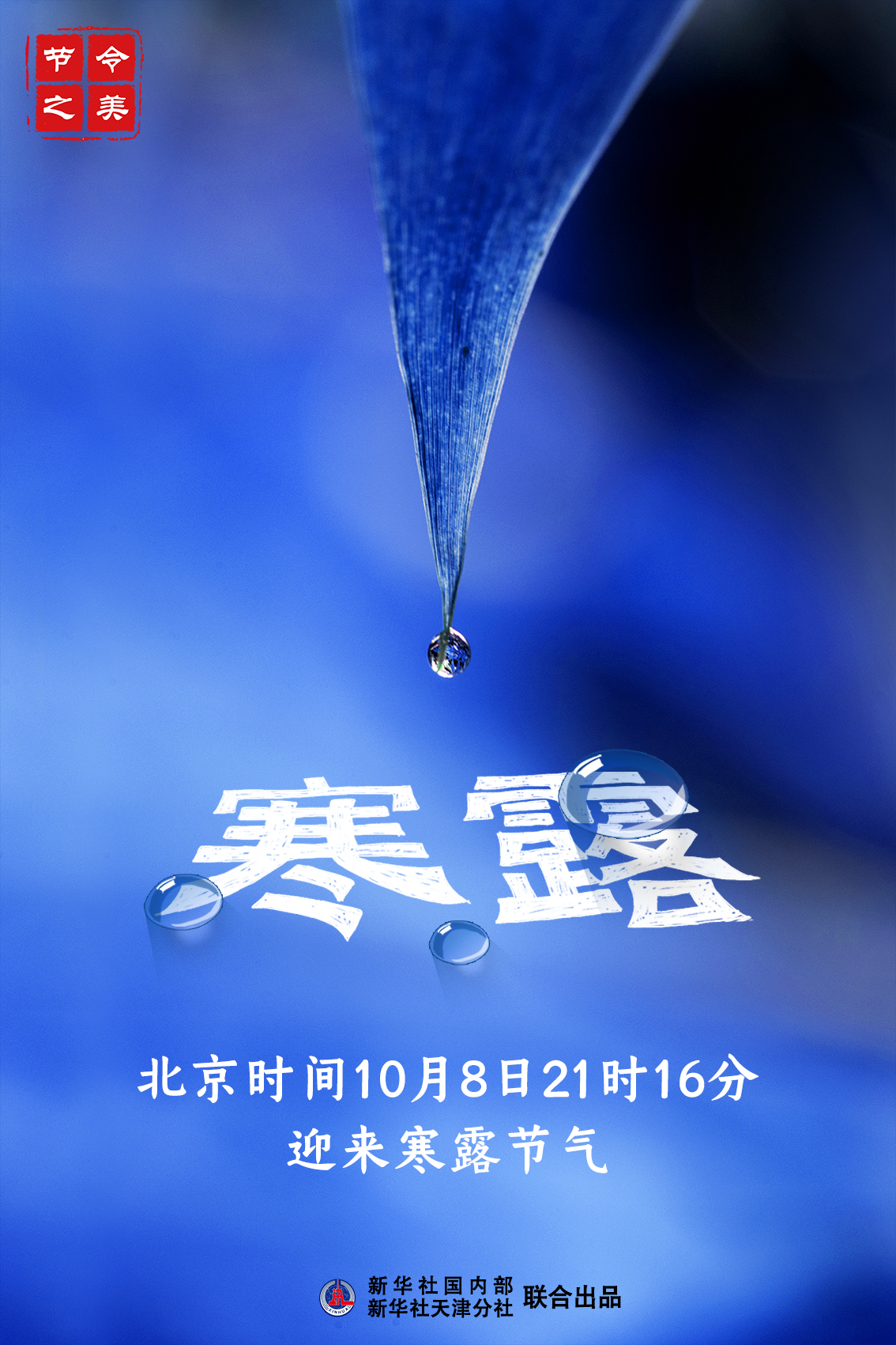 CCTV7與寒露之美的交融，CCTV7展現(xiàn)寒露之美，文化與自然的和諧交融