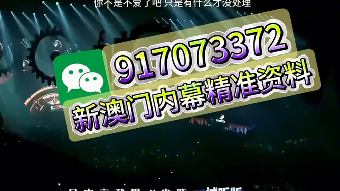 王中王一肖，特馬與一馬的傳奇故事，王中王一肖，特馬與一馬的非凡傳奇故事