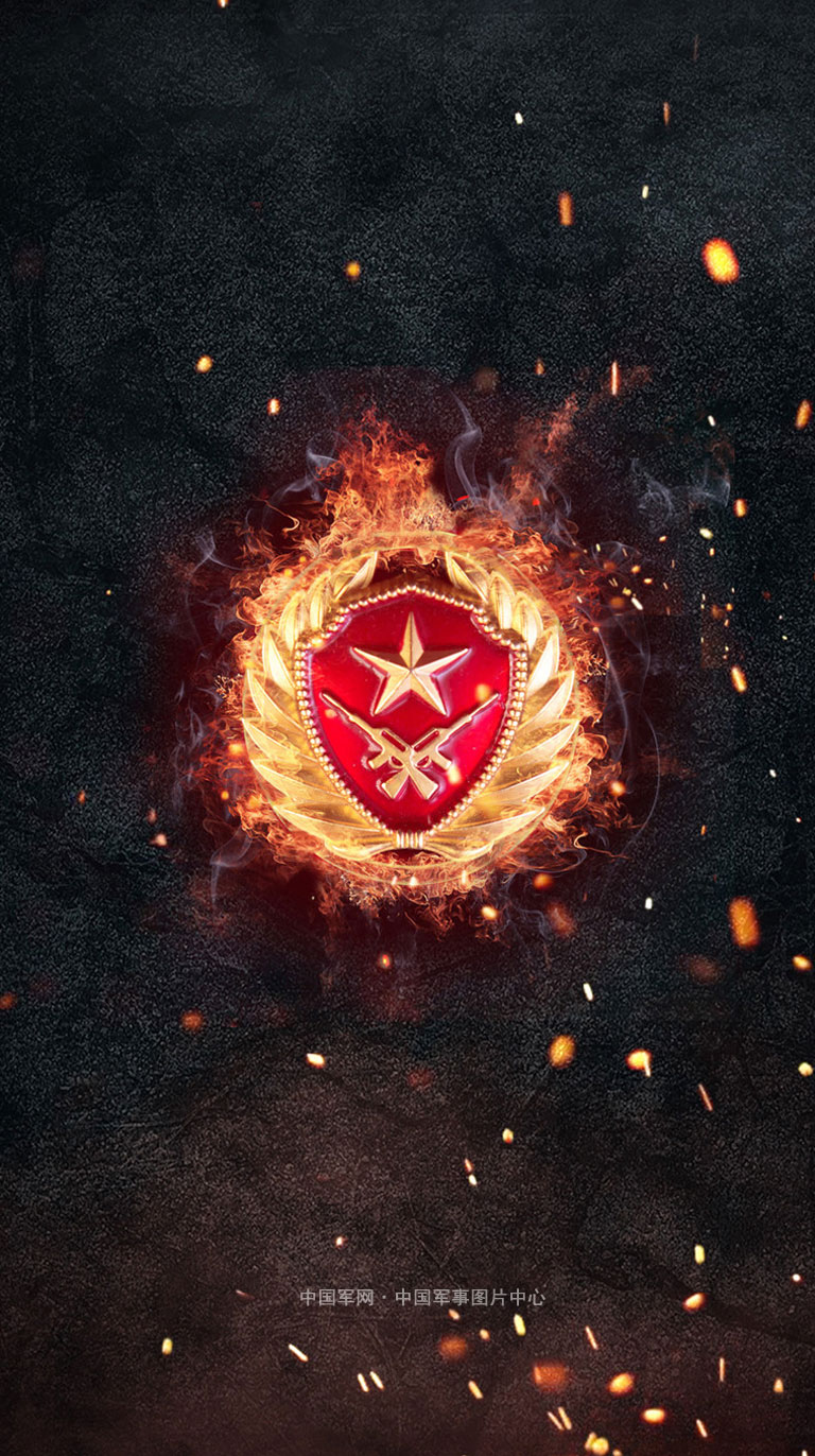 軍人領(lǐng)花圖片，榮耀的象征與時(shí)代的印記，軍人領(lǐng)花圖片，榮耀與時(shí)代的印記風(fēng)采展示
