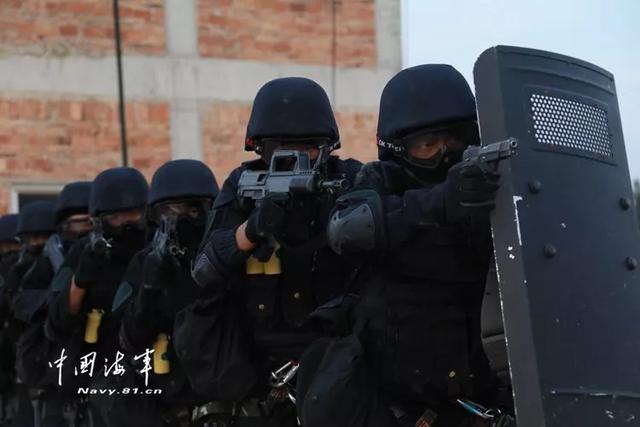 蛟龍突擊隊(duì)最新版，精英團(tuán)隊(duì)的全面升級(jí)，蛟龍突擊隊(duì)最新版，精英團(tuán)隊(duì)的全面進(jìn)化