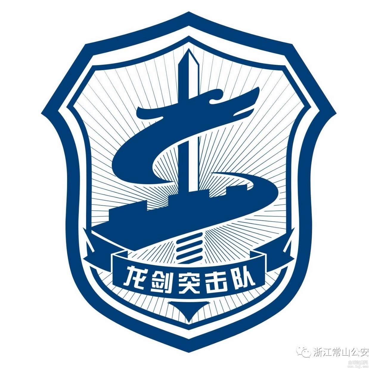 揭秘蛟龍突擊隊(duì)隊(duì)標(biāo)，榮耀與使命的象征，揭秘蛟龍突擊隊(duì)隊(duì)標(biāo)，榮耀與使命的象征探秘