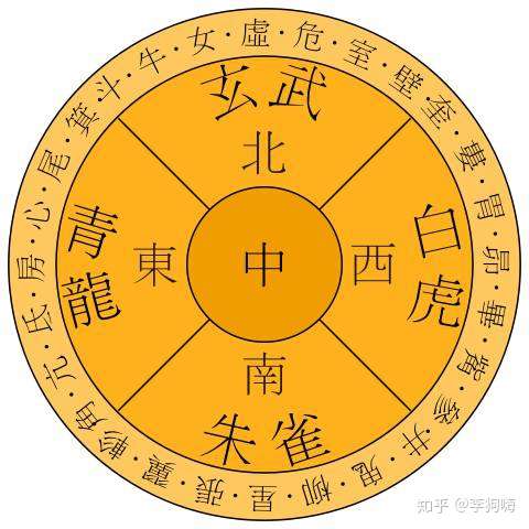 王中王資料一肖中地圖，深度解析與探討，王中王資料一肖中地圖深度解析與探討
