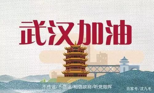 王中王、肖一特一中投資情況深度解析，王中王、肖一特投資情況深度剖析