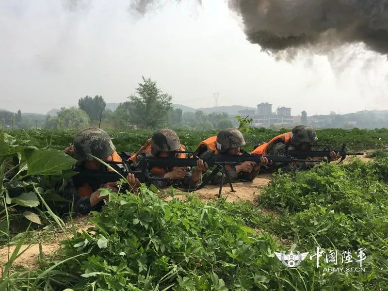 石家莊陸軍合成80旅，新時代合成旅的典范，石家莊陸軍合成80旅，新時代合成旅典范展現(xiàn)風(fēng)采