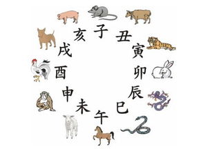 今天是什么生肖日，今日生肖運(yùn)勢(shì)揭秘，揭秘今日生肖運(yùn)勢(shì)特點(diǎn)