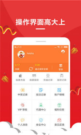 王中王一肖，解碼背后的故事與魅力，王中王一肖，背后的故事與獨(dú)特魅力解碼