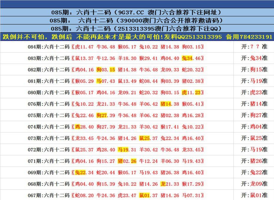 澳門正版資料免費(fèi)更新——探索澳門正版的魅力與價(jià)值，澳門正版資料免費(fèi)更新，探索澳門正版的獨(dú)特魅力與價(jià)值