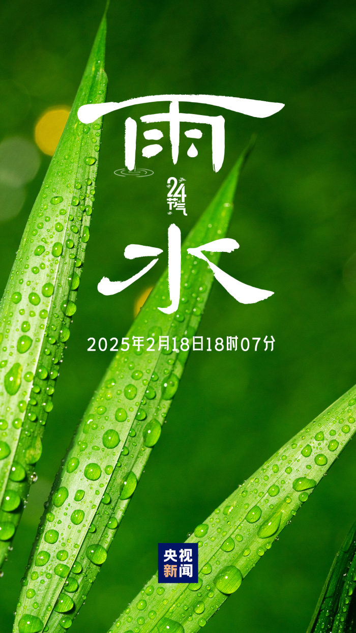 今日雨水圖片，自然之美的獨特展現(xiàn)，今日雨水圖片，自然之美的獨特展現(xiàn)