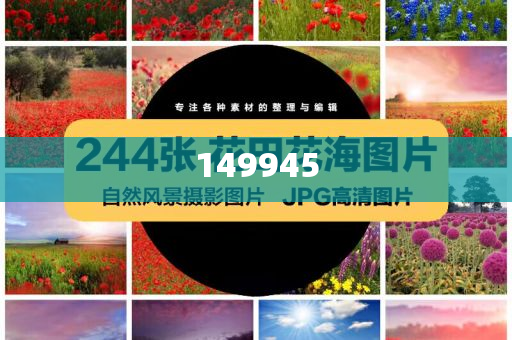 澳門正版精準(zhǔn)免費(fèi)——探索未來的機(jī)遇與挑戰(zhàn)，澳門正版精準(zhǔn)免費(fèi)，未來機(jī)遇與挑戰(zhàn)的探索