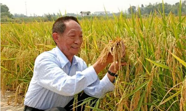 共和國(guó)勛章獲得者可以享受的待遇，共和國(guó)勛章獲得者享有的待遇，國(guó)家級(jí)榮譽(yù)的最高禮贊