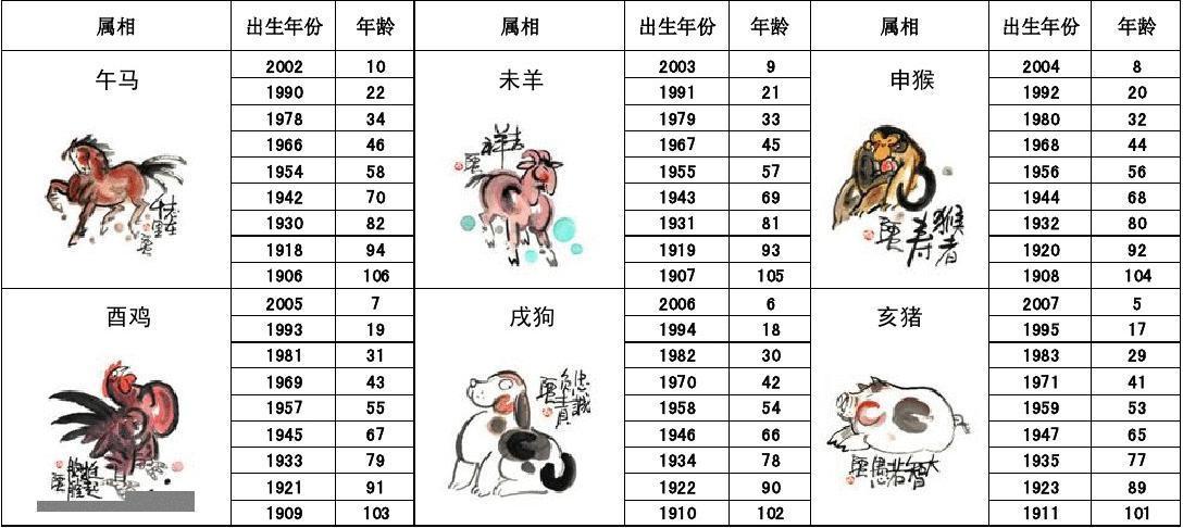 一箭20星與生肖動(dòng)物，探索神秘關(guān)聯(lián)，一箭20星與生肖動(dòng)物的神秘聯(lián)系探索