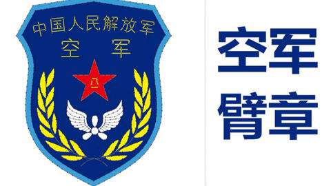 陸軍臂章，榮耀的象征與時代的印記，陸軍臂章，榮耀與時代的雙重印記