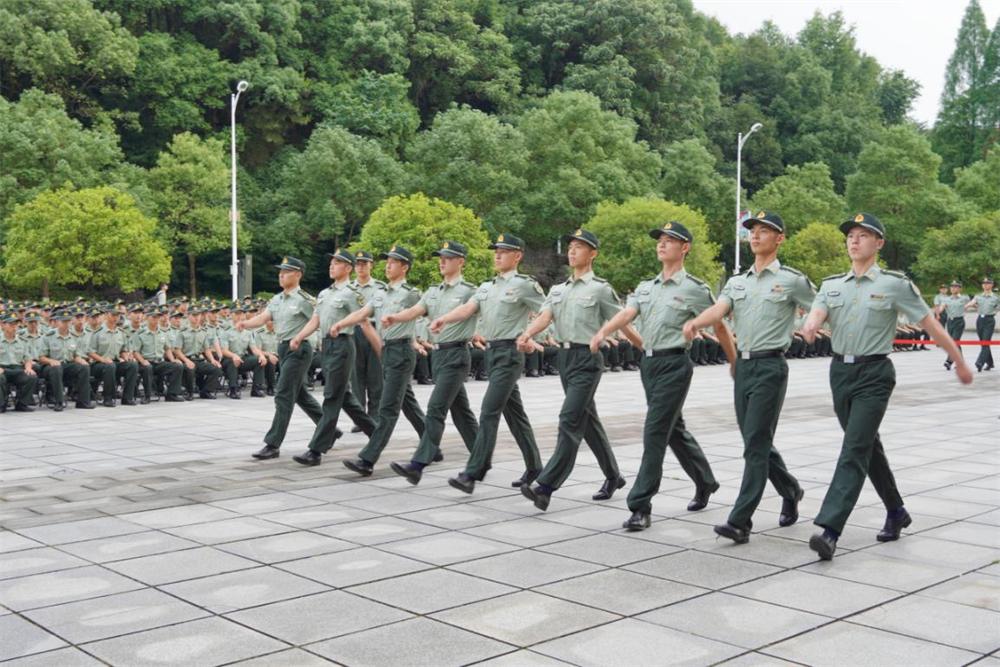 軍事綜合信息網(wǎng)組織結(jié)構(gòu)研究，軍事綜合信息網(wǎng)組織結(jié)構(gòu)深度研究