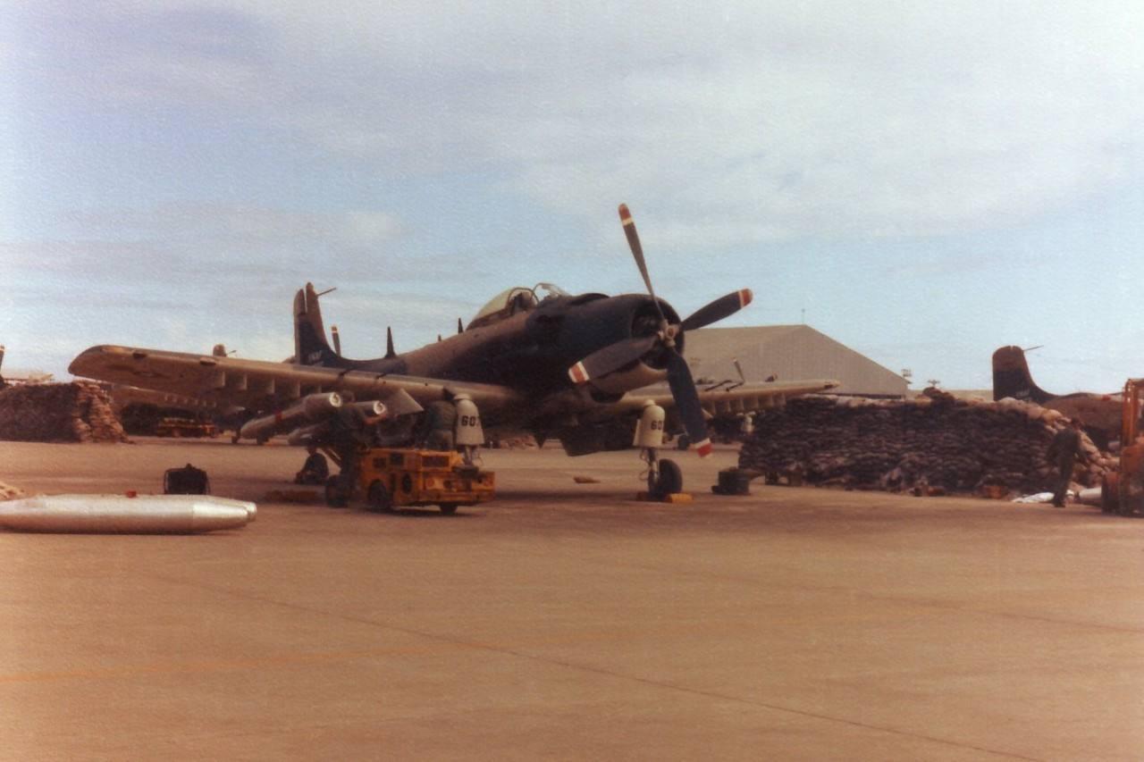 揭秘A-10攻擊機的細(xì)節(jié)圖，一段空中力量的歷史，A-10攻擊機細(xì)節(jié)揭秘，一段空中力量的歷史傳奇
