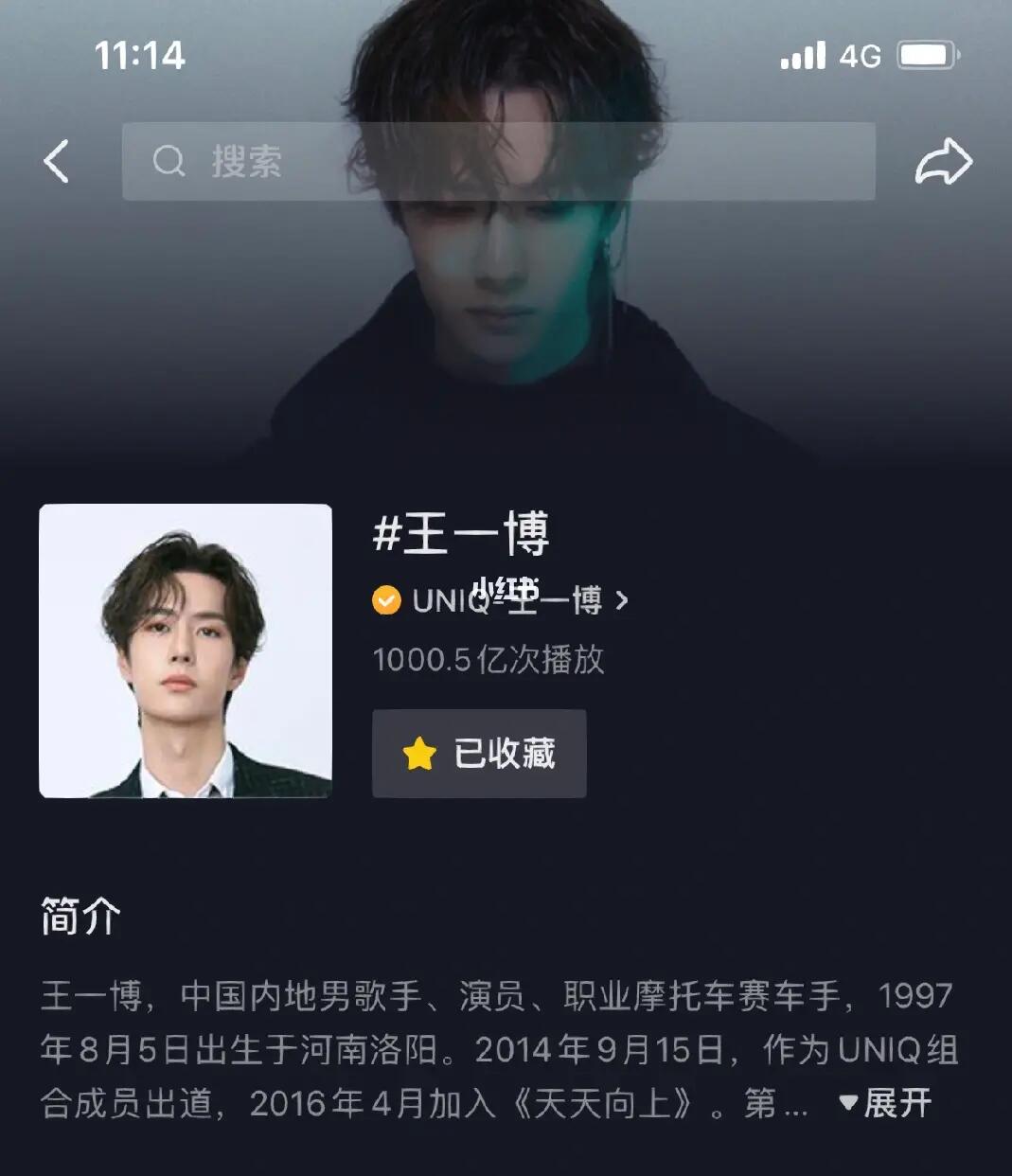 探索王中王一肖中特，一種獨(dú)特的文化現(xiàn)象，王中王一肖中特，獨(dú)特的文化現(xiàn)象探索