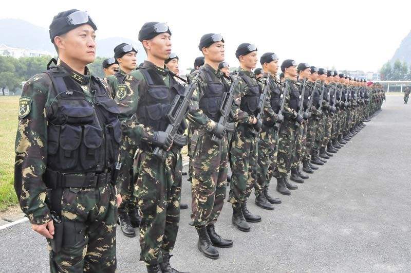 武警與陸軍的區(qū)別，職責(zé)、任務(wù)與特色的差異探討，武警與陸軍職責(zé)、任務(wù)與特色差異探討，兩大軍種的區(qū)別解析