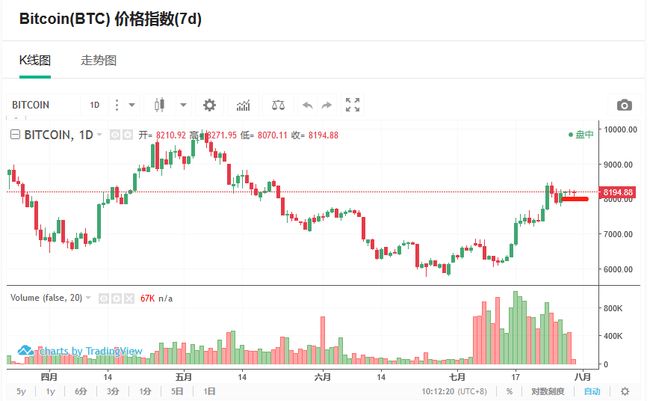 王中王資科一肖中持天，探索與突破的力量，王中王資科一肖持天，探索與突破的力量