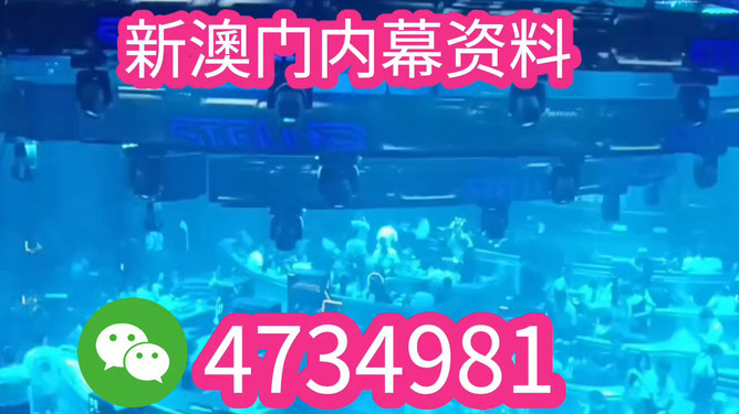 澳門彩票的未來展望，探索2025年王中王開獎(jiǎng)結(jié)果，澳門彩票未來展望，探索王中王開獎(jiǎng)結(jié)果至2025年